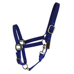 Jaquimón para caballo - Marroquinería - Tierragro Colombia (5869304447126)