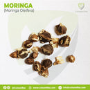 Moringa x 20 gr