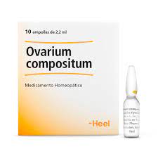 Ovarium compositum x Ampolla