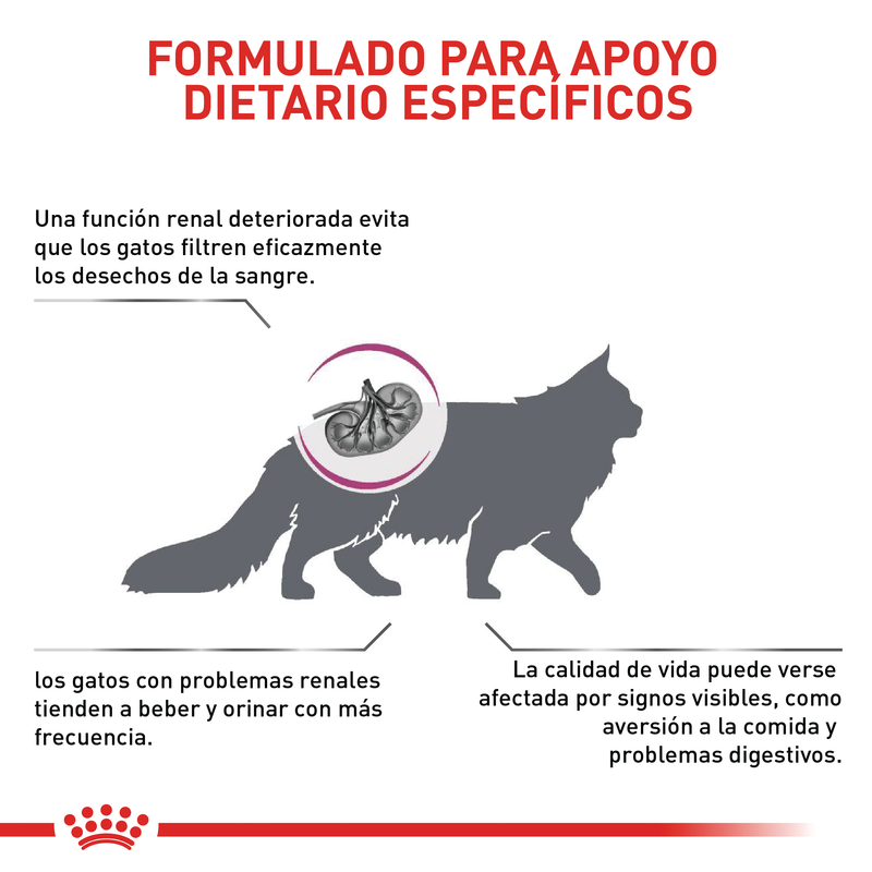 Renal Special cat |Gato renal Royal Canin 2KG