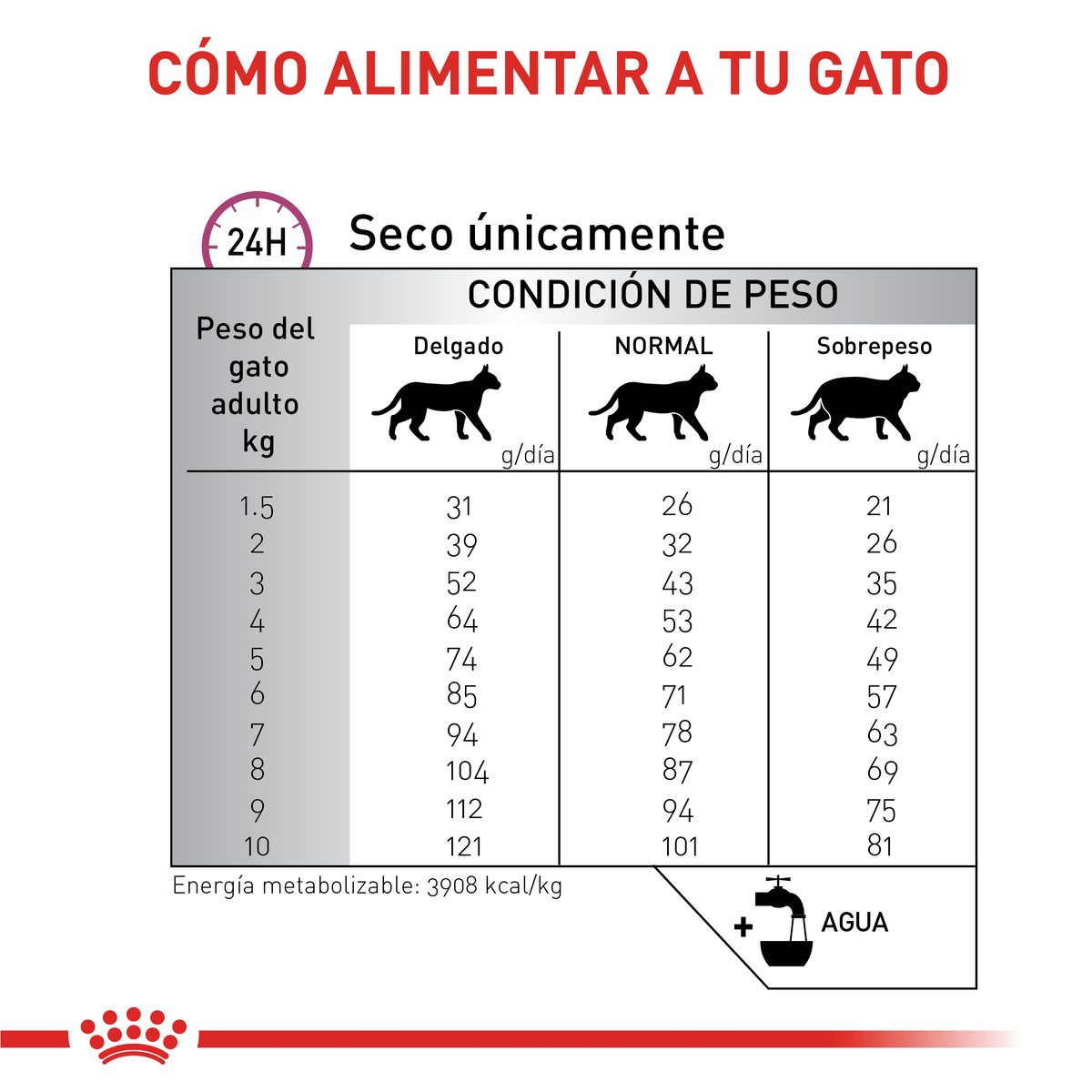 Renal Special Cat |Gato Renal Royal Canin 2Kg