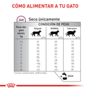 Renal Special cat |Gato renal Royal Canin 2KG