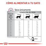 Renal Special Cat Gato Renal Royal Canin 2Kg