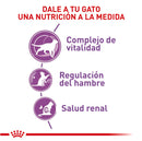 Gato esterilizado 7+| Regular Sterilised 7+ | Royal Canin 1,5 KG