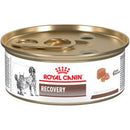Royal canin dog lata recovery wet 145gr