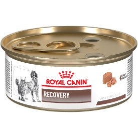 Royal canin dog lata recovery wet 145gr