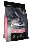 Wellness gatitos 2 kg