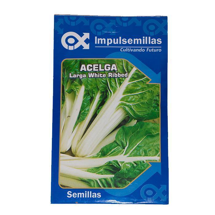Semilla de Acelga large w ribbet x 7 gr|Impulsemillas