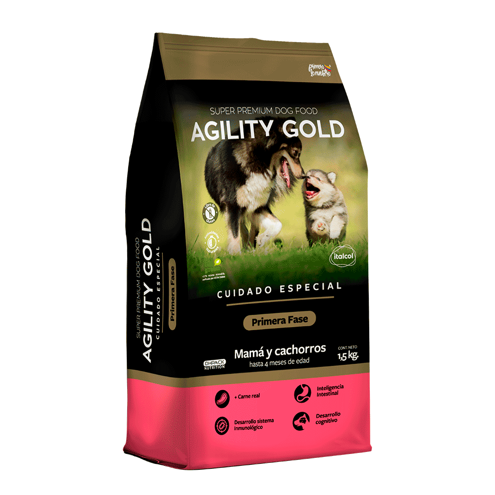 Agility Gold Primera Fase