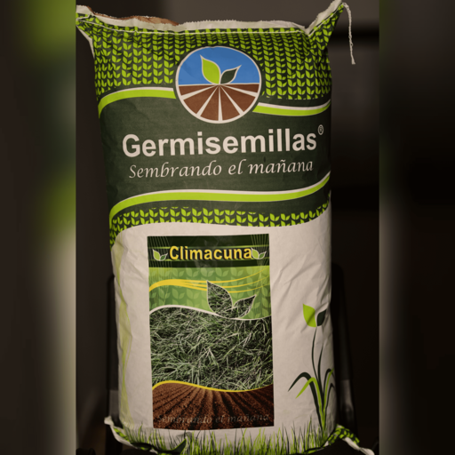 Semilla de pasto Angleton mono x 10 kg|Germisemillas