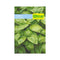 Semilla de Aromática albahaca x 1 gr|Fercon
