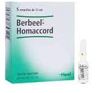Berbeel Homaccord x Ampolla