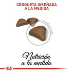 Hairball Care- Cuidado Bola De Pelo 2.72 Kg - Royal Canin