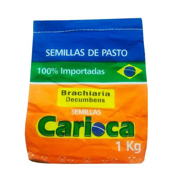 Semilla de pasto Brachiaria decumbens x 1 kg|Agrosemillas