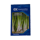 Semilla de Cebolla larga Ever green x 2 gr|Impulsemillas