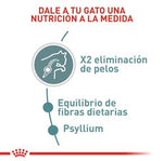 Hairball Care- Cuidado Bola De Pelo 2.72 Kg - Royal Canin