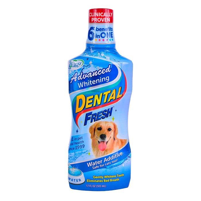 Dental Fresh perro whitening x 17 Oz|Synergy Labs