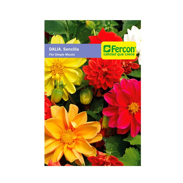 Semilla de Flor dalia x 0.5 gr|Fercon