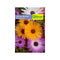 Semilla de Flor del medio día x 0.7 gr - Semillas Jardín - Tierragro Colombia (5558136733846)