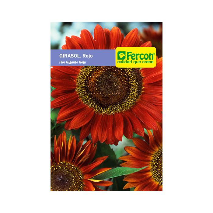 Semilla de Flor girasol rojo x 0.5 gr|Fercon