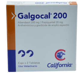 Galgocal 200 oral caja x 2tab