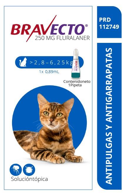 Bravecto Spot on gato x 250 mg (2,8 kg - 6,2 kg)|Intervet Msd