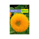 Semilla de Girasol enano amarillo x 0.8 gr|Fercon