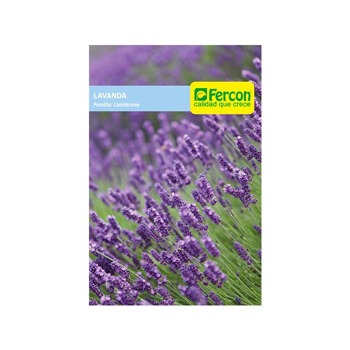 Semilla de Lavanda x 0.3 gr|Fercon