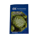 Semilla de Lechuga G lagos batavia x 4 gr|Impulsemillas