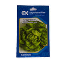 Semilla de Lechuga white bostón lisa x 7 gr|Impulsemillas