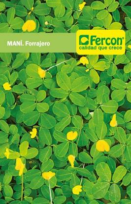 Semilla de Maní forrajero x 500 gr|Fercon