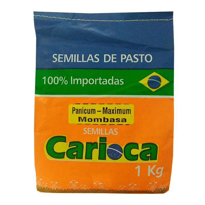 Semilla de pasto Brachiara mombasa x 1 kg|Impulsemillas