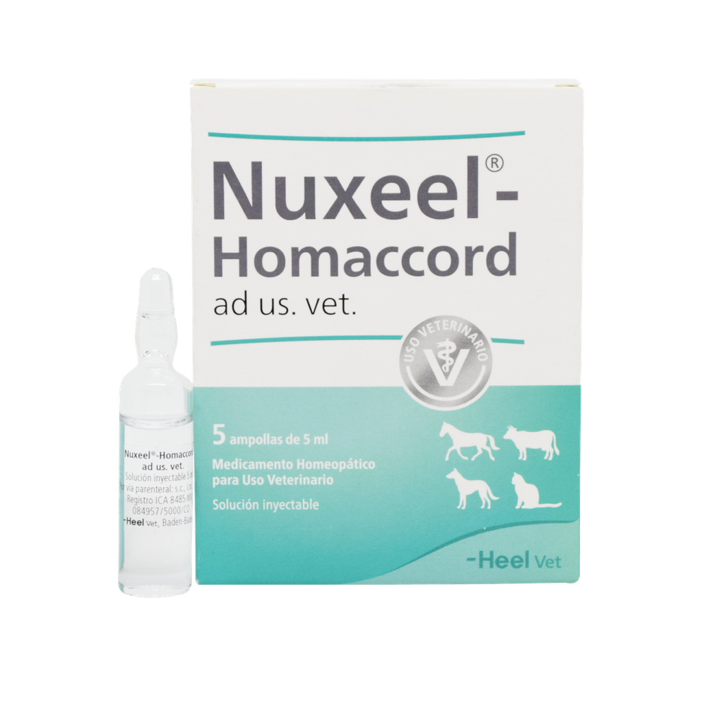 Nuxeel Homaccord x Ampolla