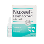 Nuxeel Homaccord x Ampolla