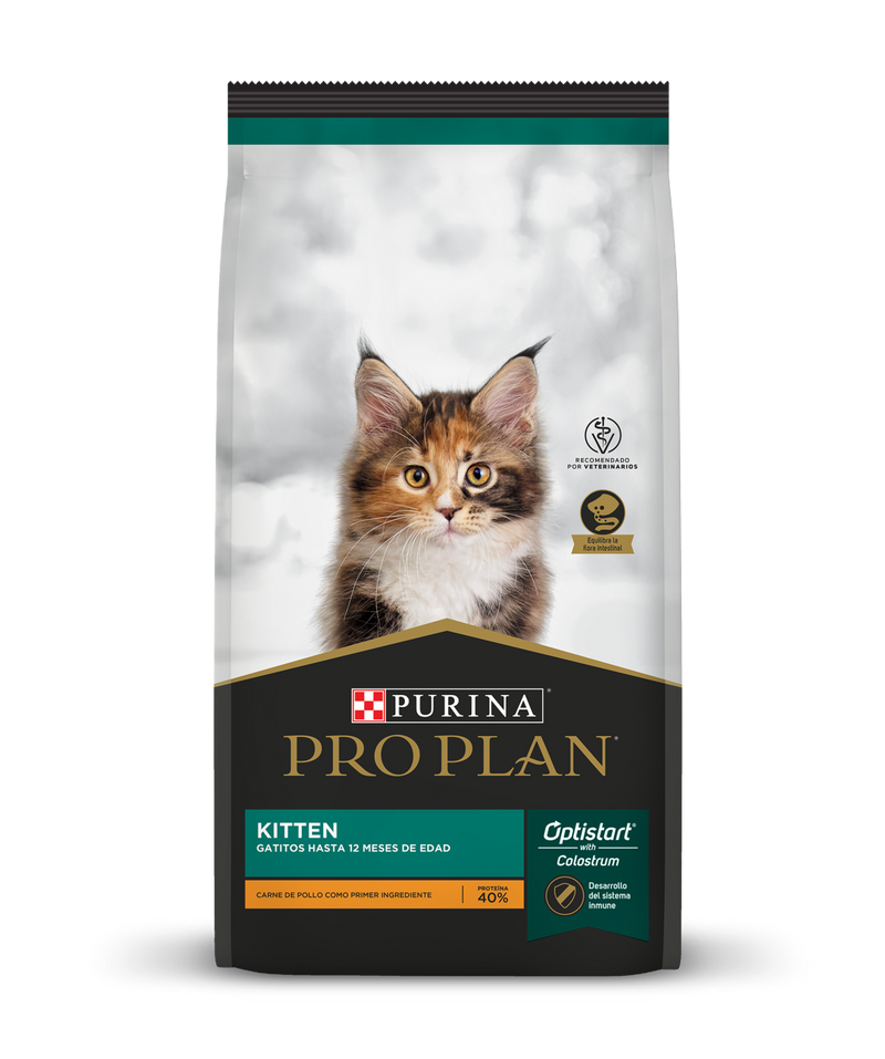 Pro plan gato Kitten Protection