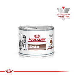 Recovery lata165GR  Royal canin