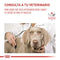 Recovery lata165GR  Royal canin
