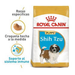 Shih Tzu Puppy 1.5KG - Cachorro Royal canin