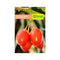 Semilla de Tomate de árbol x 2 gr|Fercon