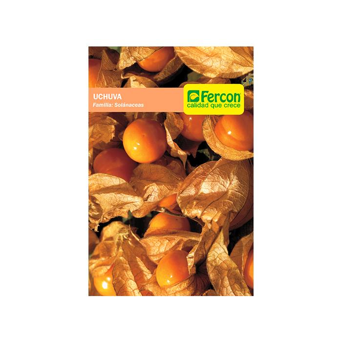 Semilla de Uchuva estándar x 2 gr|Fercon