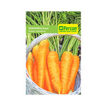 Semilla de Zanahoria roy chantenay x 4 gr|Fercon